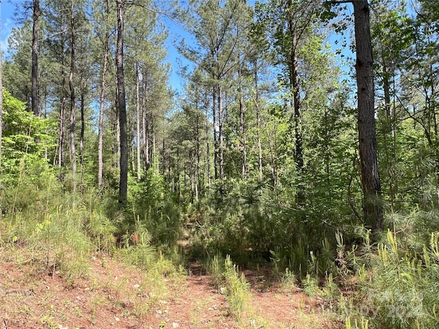 01 Hollis Rd, Ellenboro, NC 28040