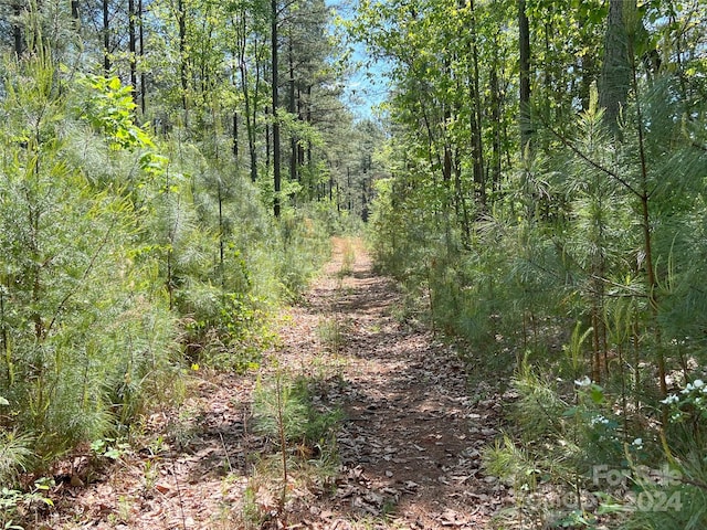 01 Hollis Rd, Ellenboro, NC 28040