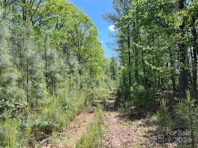 01 Hollis Rd, Ellenboro, NC 28040