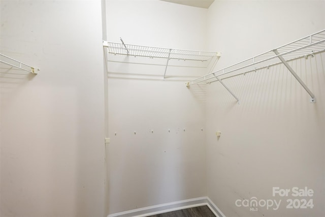 walk in closet featuring wood-type flooring