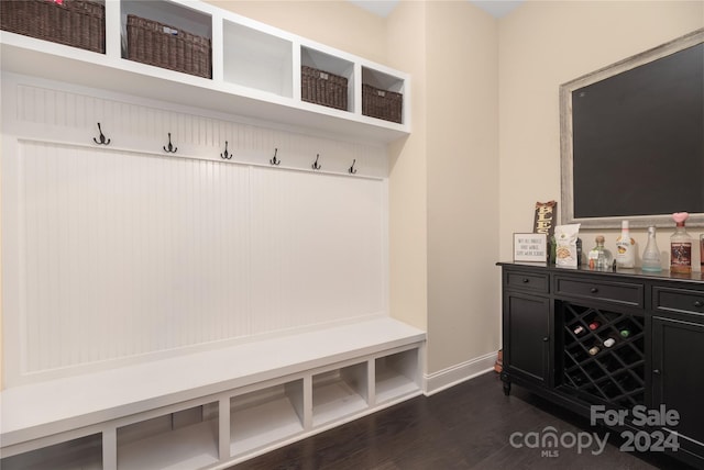 mudroom with dark hardwood / wood-style flooring