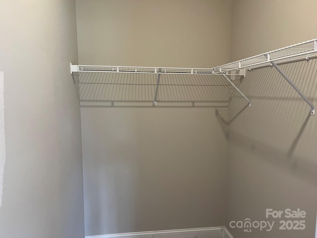 view of walk in closet