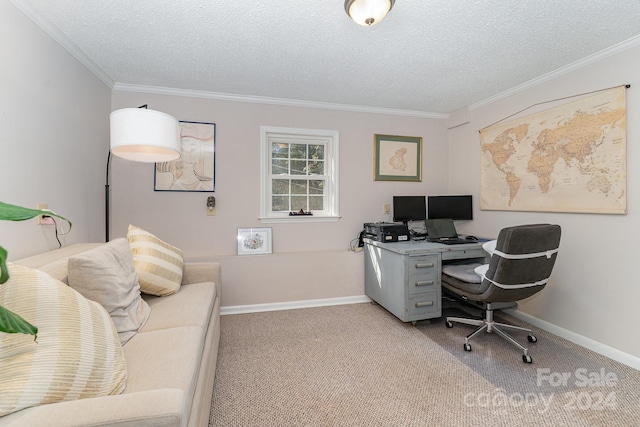 carpeted office space featuring a textured ceiling and ornamental molding