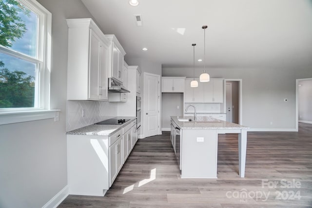 kitchen with range hood, an island with sink, a healthy amount of sunlight, and white cabinets