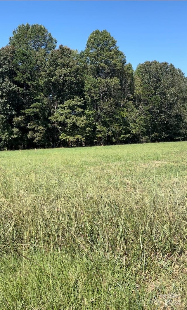 view of local wilderness