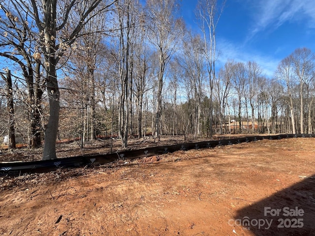 552 Fern Hill Rd Unit 21, Mooresville, NC 28117 - view of yard