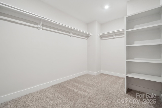 walk in closet with carpet floors