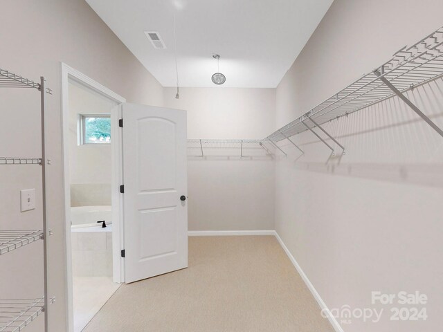 spacious closet featuring carpet flooring