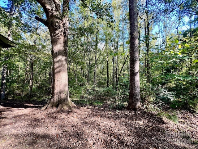 view of local wilderness