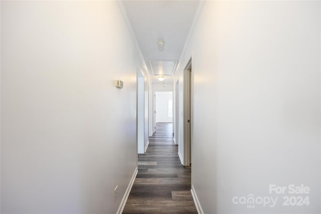 corridor featuring crown molding and dark wood-type flooring