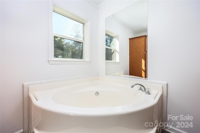 bathroom featuring ornamental molding and a washtub