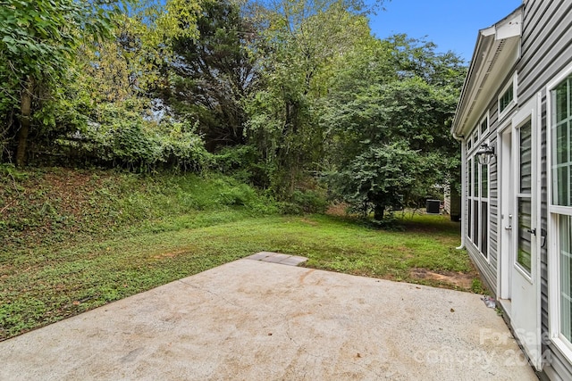 view of yard featuring a patio area