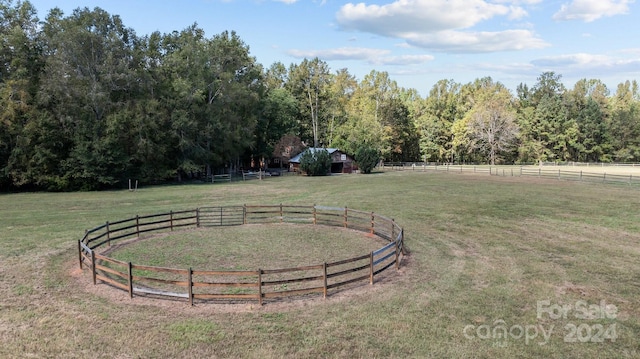 view of yard featuring a rural view