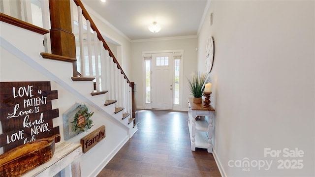 foyer featuring dark hardwood / wood-style flooring and crown molding