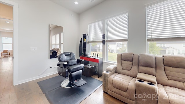 living room with wood-type flooring