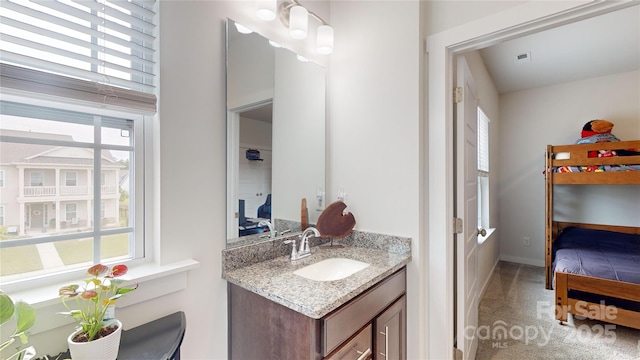 bathroom with vanity and a wealth of natural light