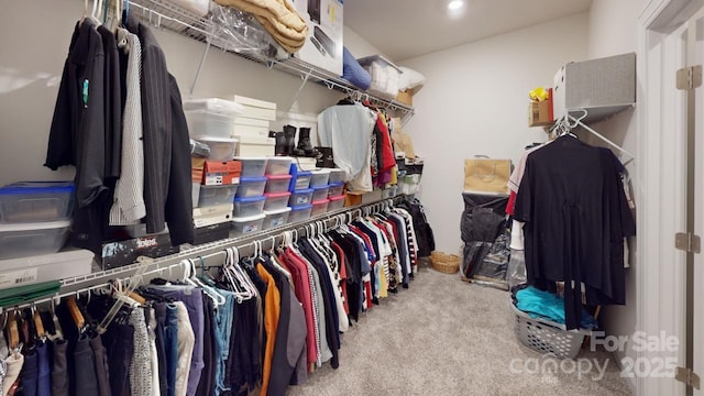 spacious closet with light colored carpet