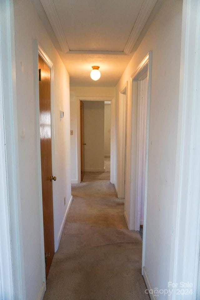 hallway with light colored carpet and ornamental molding