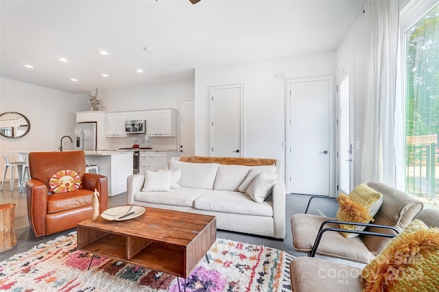 living room with sink and concrete flooring