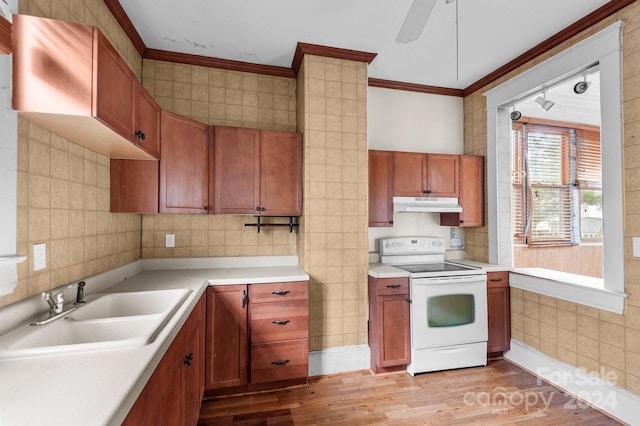 kitchen featuring white electric stove, crown molding, light hardwood / wood-style floors, and sink