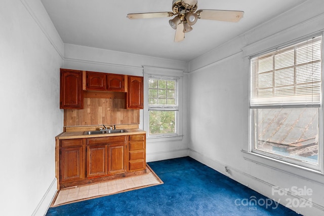 kitchen with carpet, ceiling fan, and sink