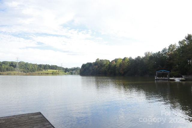 view of water feature with a dock