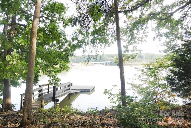 dock area featuring a water view