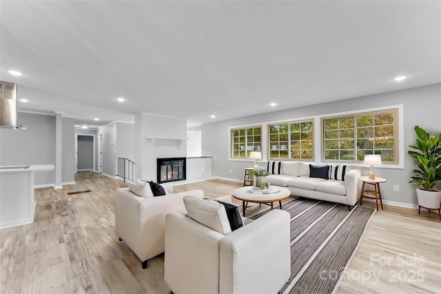 living room with light wood-type flooring