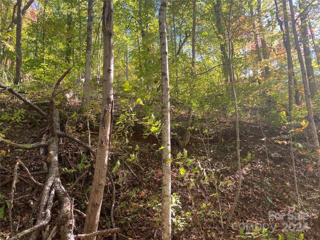 TBD Shirley Blvd Unit 34, Bryson City, NC 28713 - photo 8