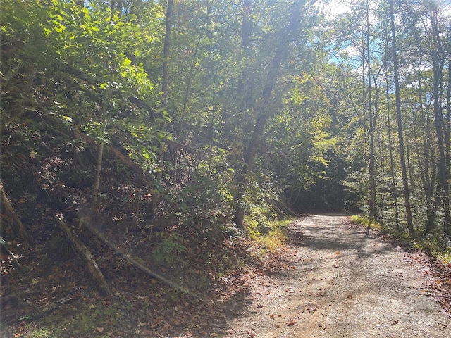 Listing photo 3 for TBD Shirley Blvd Unit 34, Bryson City NC 28713