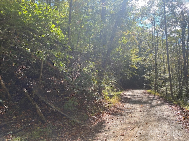 TBD Shirley Blvd Unit 34, Bryson City, NC 28713 - photo 3
