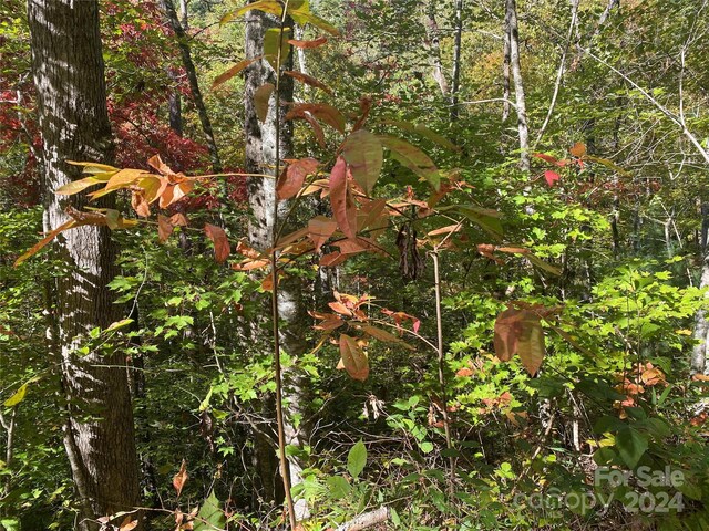 TBD Shirley Blvd Unit 34, Bryson City, NC 28713 - photo 4