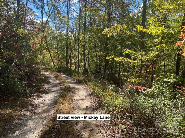 TBD Shirley Blvd Unit 34, Bryson City, NC 28713 - photo 5