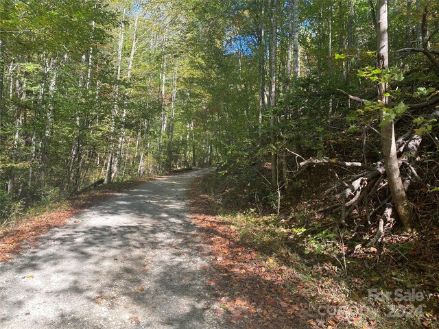 TBD Shirley Blvd Unit 34, Bryson City, NC 28713 - photo 2