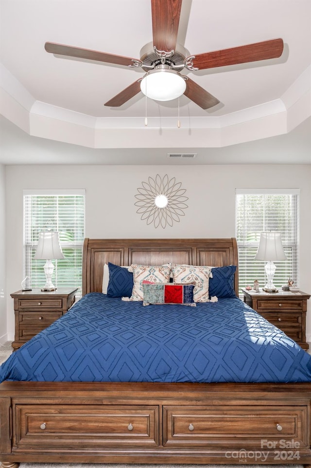 unfurnished bedroom with ceiling fan, a raised ceiling, and multiple windows