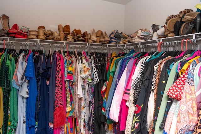 view of spacious closet