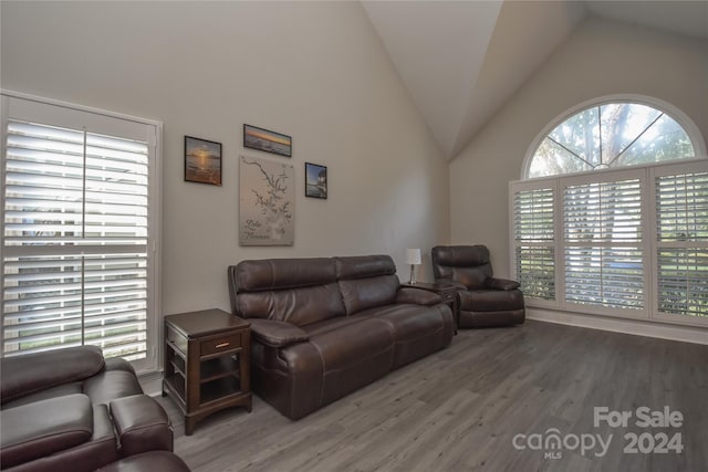 living room featuring a wealth of natural light, hardwood / wood-style floors, and vaulted ceiling