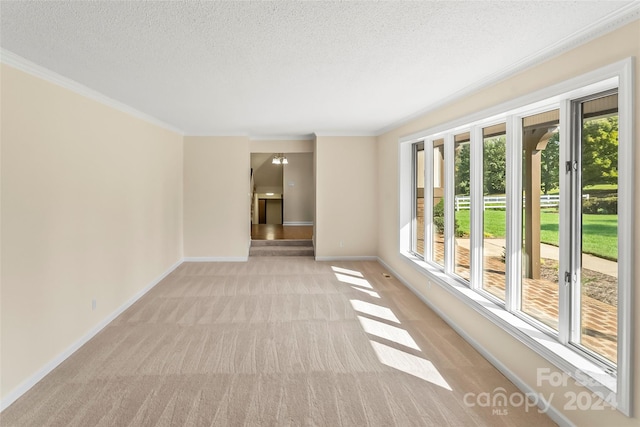 spare room with crown molding, light colored carpet, a textured ceiling, and a healthy amount of sunlight