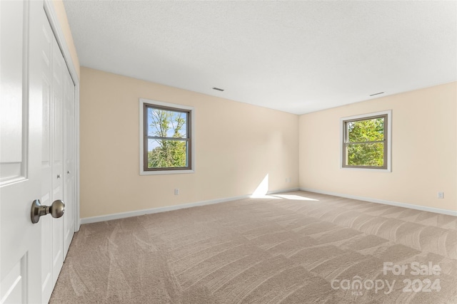 carpeted empty room with a textured ceiling and a wealth of natural light