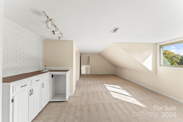 additional living space with light colored carpet, a textured ceiling, and lofted ceiling