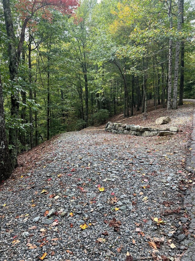 39 Black Bear Ridge Trl, Zirconia, NC 28790 - photo 1