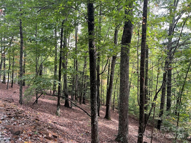 39 Black Bear Ridge Trl, Zirconia, NC 28790 - photo 2