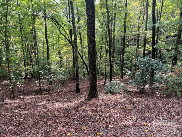 39 Black Bear Ridge Trl, Zirconia, NC 28790 - photo 3