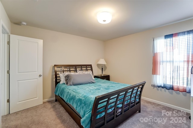 bedroom with carpet flooring