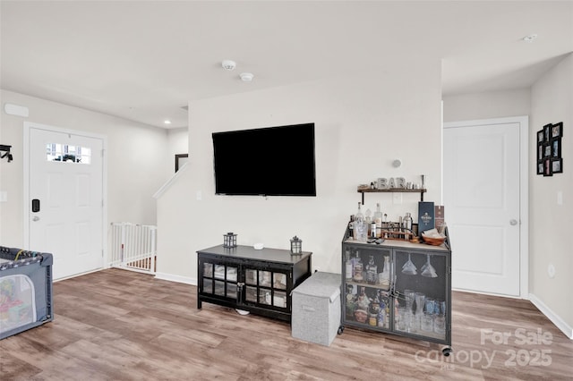 living room featuring wood-type flooring