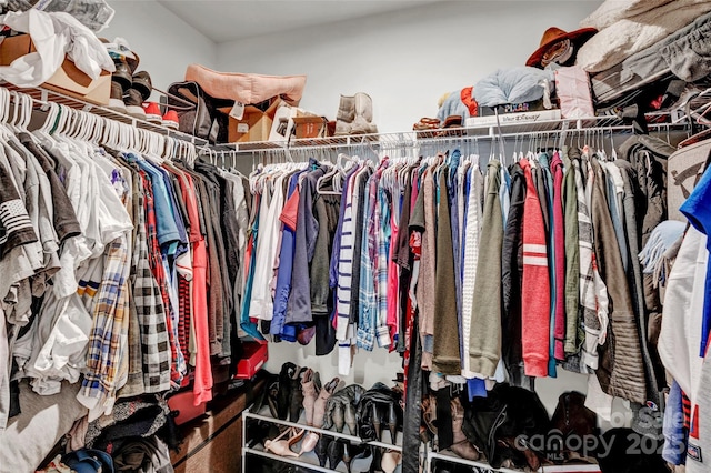 view of walk in closet