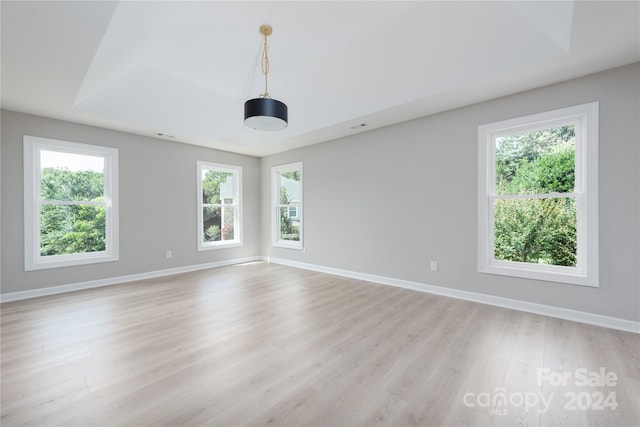 unfurnished room with light wood-type flooring and plenty of natural light