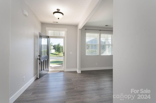 entrance foyer featuring dark wood-type flooring and a wealth of natural light