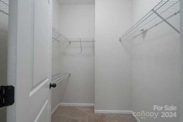 walk in closet with light carpet