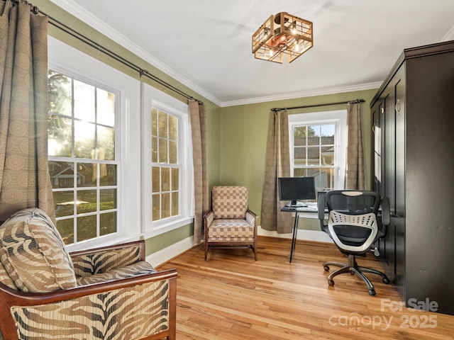 home office with hardwood / wood-style floors and ornamental molding